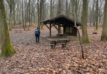 Trail sport Bruyères-le-Châtel - Bois de La Roche Turpin - Photo