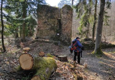 Randonnée Marche Soultzmatt - Soutzmatt Orschwihr Bollenberg  - Photo