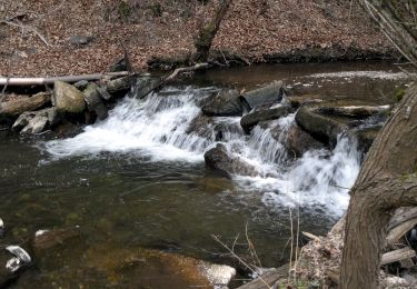 Randonnée A pied Morshausen - Traumschleife Murscher Eselsche - Photo