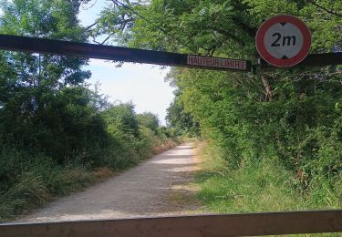 Tour Wandern Sarzeau - Beg Lann - Photo