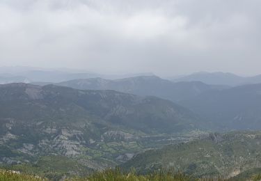 Trail Mountain bike Mallemoisson - rando verdon - Photo