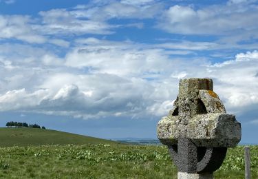 Trail Walking Saint Geniez d'Olt et d'Aubrac - Croix de Rodes Lac de Bonnecombe Signal de Mailhebiau - Photo
