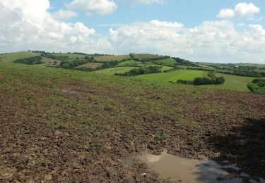 Percorso A piedi Teignbridge - Tedbury Circular Walk - Photo