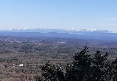 Tour Wandern Rougiers - Rougiers - Photo