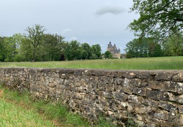 Randonnée Marche Orsennes - Rando Depuis Hallé - Photo