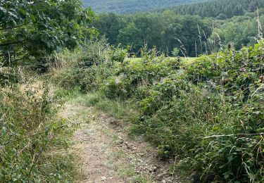 Percorso Marcia Spa - Crepe adeps 10km - Photo