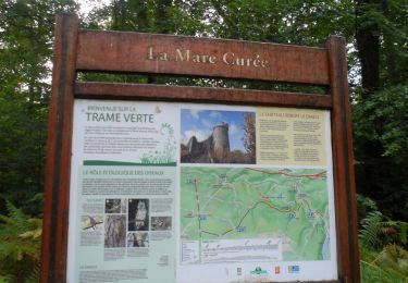 Tour Wandern La Londe - 20220927-La Londe Cool - Photo