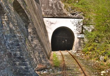 Randonnée A pied Brilon - Alme Rundweg Al3 - Photo