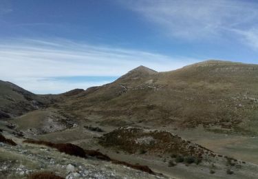 Trail Walking Rougon - Le Mourre du Chanier depuis Rougon - Photo