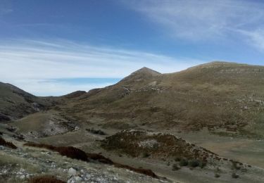 Tour Wandern Rougon - Le Mourre du Chanier depuis Rougon - Photo