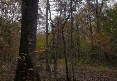 Trail Walking Saint-Maixme-Hauterive - bois de Jaudrais - Photo