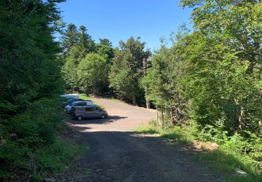 Excursión Senderismo Le Claux - Puy de Niermond - Photo