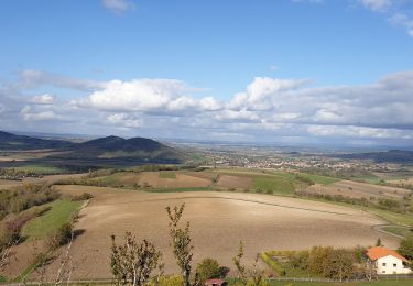 Tocht Stappen Saint-Julien-de-Coppel - St julien de Coppel_T - Photo