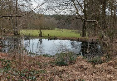 Excursión Senderismo Gedinne - Vencimont 250321 - Photo