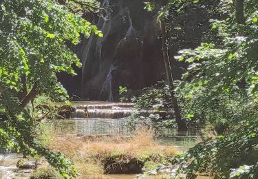 Excursión Senderismo Les Planches-près-Arbois - la reculée des planches  - Photo