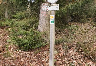 Tour Wandern Paliseul - maissin 30 /01/2020 - Photo