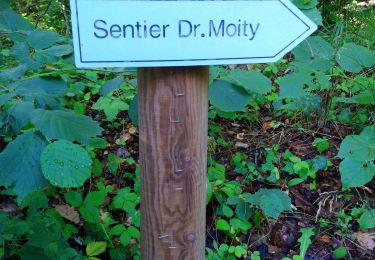 Trail Nordic walking Volvic - Moity  - Photo