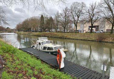 Trail Walking Ghent - Gand 11,7 km - Photo