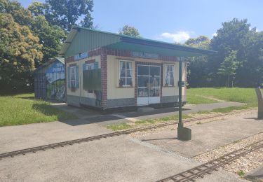 Percorso Marcia Épinay-sur-Orge - lonpong - Photo