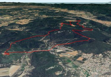Trail Walking Rocbaron - SityTrail - rocbaron   victor - Photo