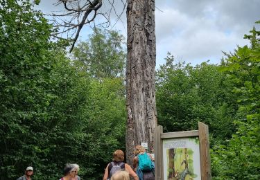 Tour Wandern Élincourt-Sainte-Marguerite - Élincourt-Sainte-Marguerite  - Photo