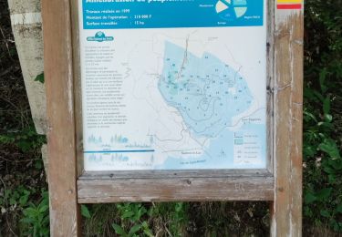 Tour Wandern Savines-le-Lac - Rando Savines Pierre-Arnoux - Photo