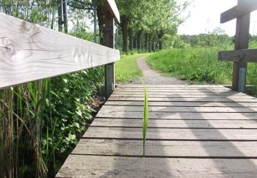 Tour Zu Fuß Neustadt an der Aisch - Schweinbach-Wanderweg - Photo