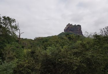 Tocht Auto  - Sri-03 Giritale - Sigiriya - Habarana - Aukana - Photo