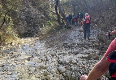 Tour Wandern Sablet - Les crêtes de saint Amant  - Photo