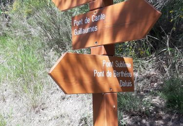 Tour Wandern Daluis - trace gorges de Daluis - Photo