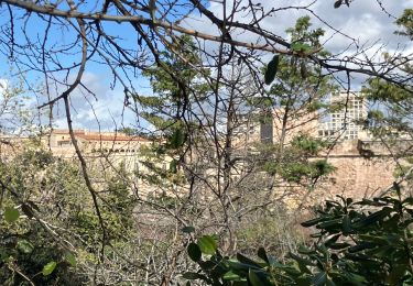 Trail Walking Marseille - Marseille Le Pharo-place aux huiles  - Photo