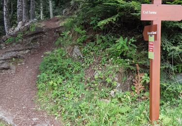 Tour Wandern Moulinet - Turini- tour de la Calmette - Photo