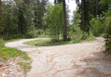 Excursión A pie  - Lubenovačka vrata - Veliki Lubenovac - Photo