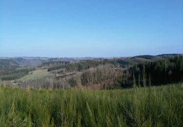 Trail Walking La Roche-en-Ardenne - La Roche n 6 - Photo