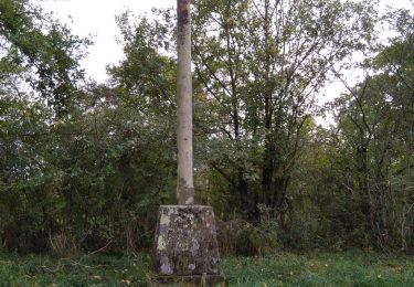 Randonnée Marche Crevant-Laveine - crevant Laveine par les chemins  - Photo