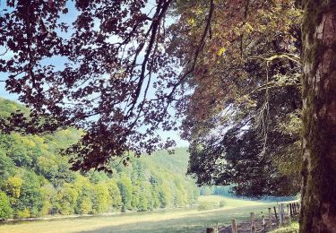 Trail Walking Bouillon - Bouillon 7 km - Photo