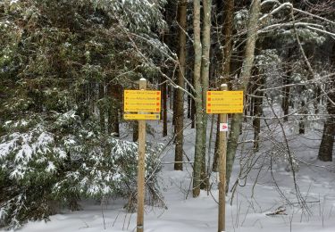 Tour Wandern Léoncel - Le Grand Echaillon - Photo