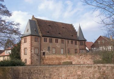 Tocht Te voet Büdingen - Büdingen Tour - Photo