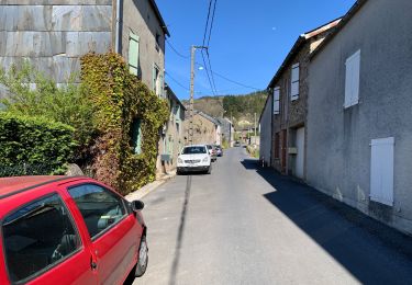Tocht Stappen Brassac - Les costes par le Salas - Photo