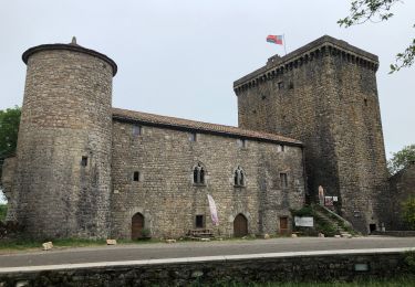 Tour Wandern Sainte-Eulalie-de-Cernon - Ste eulalie Viala pas de jaux  - Photo