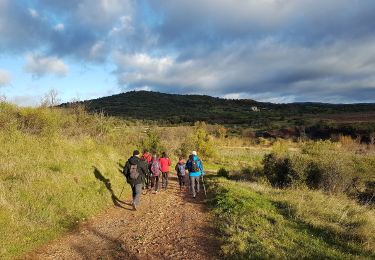 Randonnée Marche Celles - Vailhés Laulo L'Auverne Salagou - Photo