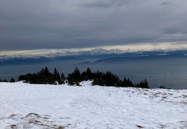 Randonnée sport Lélex - Lelex vers le crêt de la neige - Photo