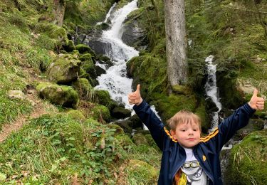 Tour Wandern Stoßweier - Resto les cascades - Photo