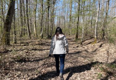 Randonnée Marche Marigny - Forêt de Bagnolet - entre chemins et bois - Photo