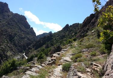 Excursión Senderismo Corscia - 31/05/2013 14:51 Scala Di Regina - Photo
