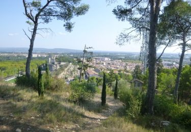 Tocht Te voet Beaucaire - Les Trois Croix - Photo