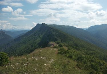 Trail Walking Rémuzat - Remuzat,les Aiguilles - Photo