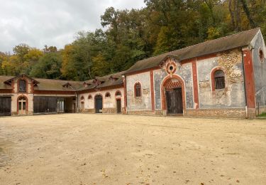 Randonnée Marche Villiers-le-Bâcle - Villiers le Bâcle en suivant la Mérantaise S G - Photo