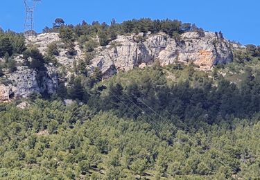 Excursión Senderismo Ollioules - croupatier  - Photo