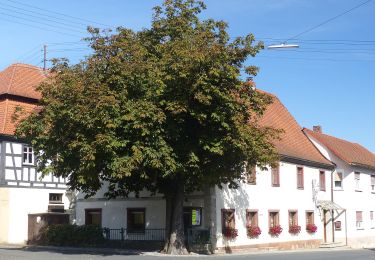 Trail On foot Eggolsheim - Trailsdorf-Ebermannstadt - Photo